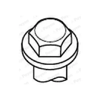 Jeu de boulons de culasse de cylindre PAYEN HBS529