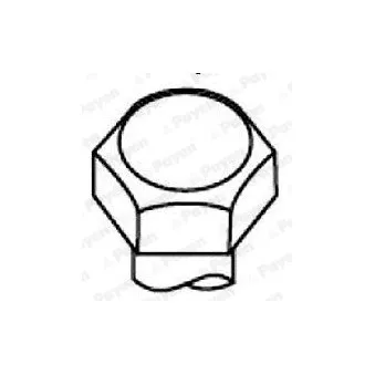 Jeu de boulons de culasse de cylindre PAYEN HBS532