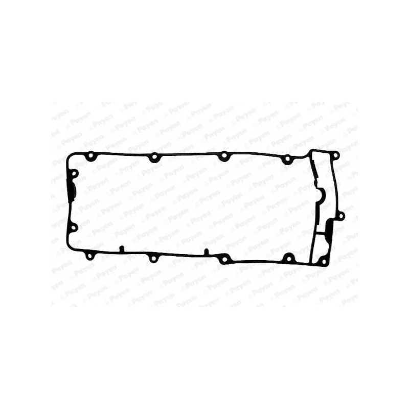 Joint de cache culbuteurs PAYEN JM5074