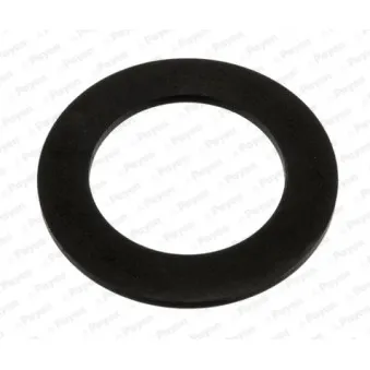 Joint, bouchon de tube de remplissage d'huile PAYEN KK5729