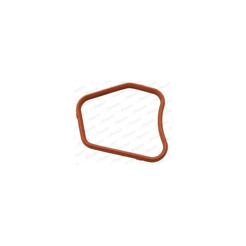 Joint d'étanchéité, thermostat PAYEN KK5734
