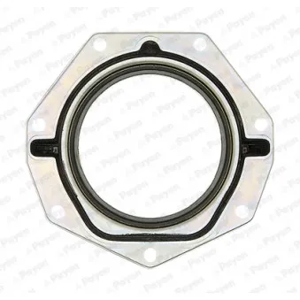 Bague d'étanchéité, vilebrequin PAYEN NF886