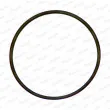 Bague d'étanchéité PAYEN PA850 - Visuel 1