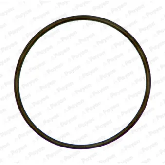 Bague d'étanchéité PAYEN PA850