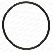 Bague d'étanchéité PAYEN PA850 - Visuel 2