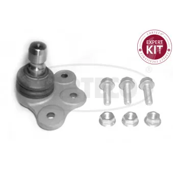Rotule de suspension CORTECO 49395238