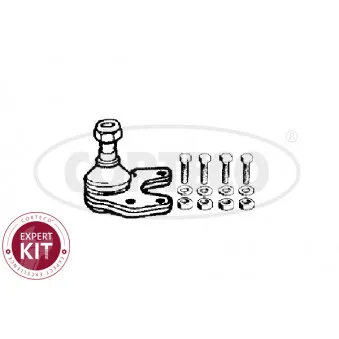 Rotule de suspension CORTECO 49395709