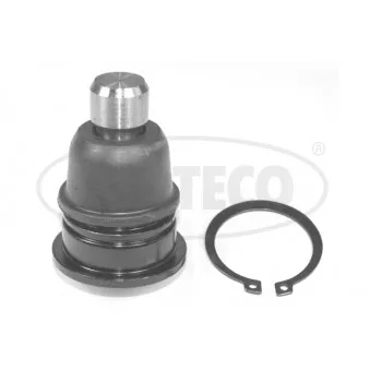 Rotule de suspension CORTECO 49398533