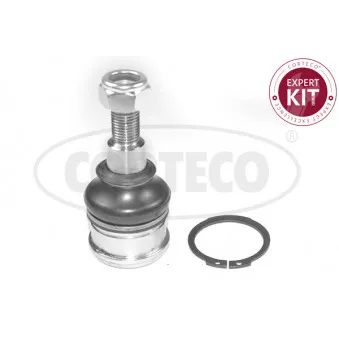 Rotule de suspension CORTECO 49400023