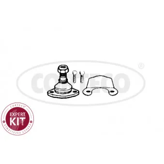 Rotule de suspension CORTECO 49401055