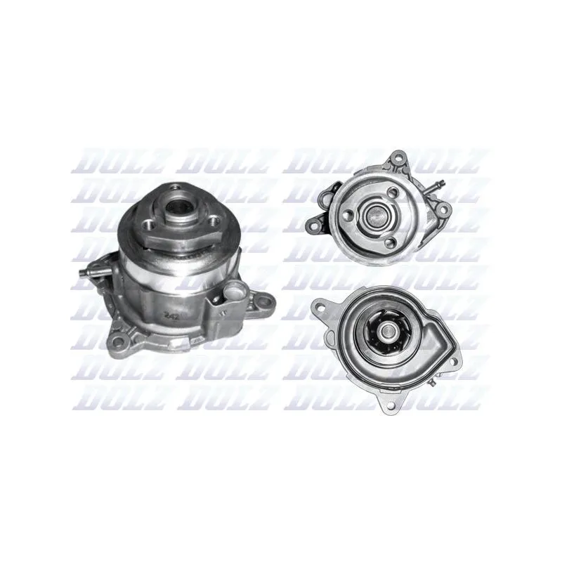 Pompe à eau DOLZ A215V