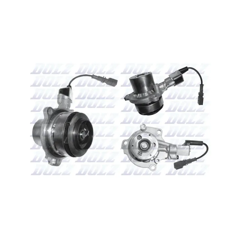 Pompe à eau DOLZ A255V