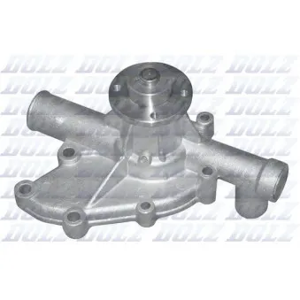 Pompe à eau DOLZ