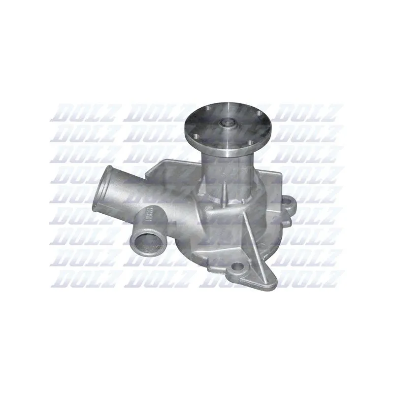 Pompe à eau DOLZ B205