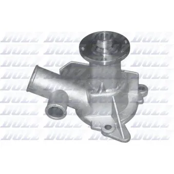 Pompe à eau DOLZ B206