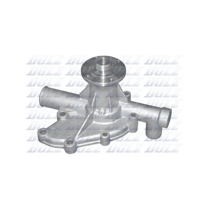 Pompe à eau DOLZ B207