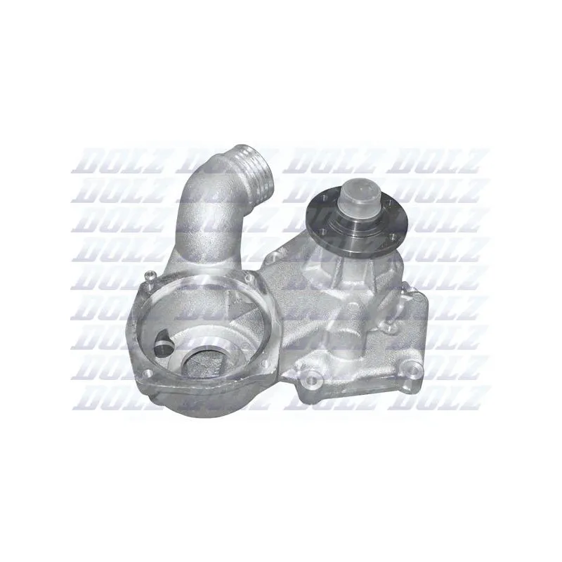 Pompe à eau DOLZ B218
