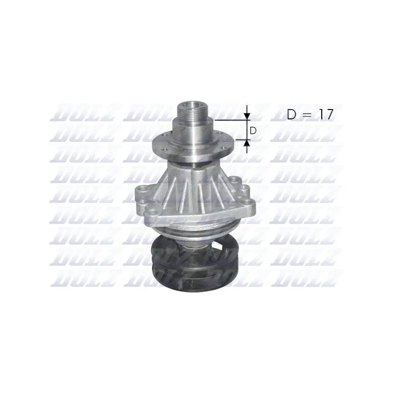 Pompe à eau DOLZ B219