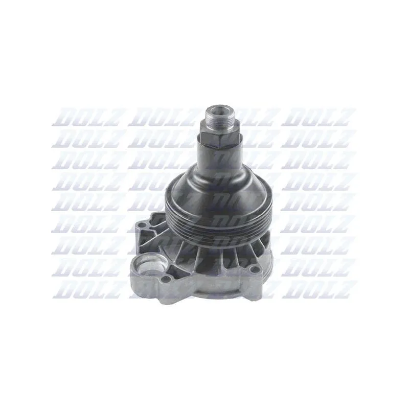 Pompe à eau DOLZ B220