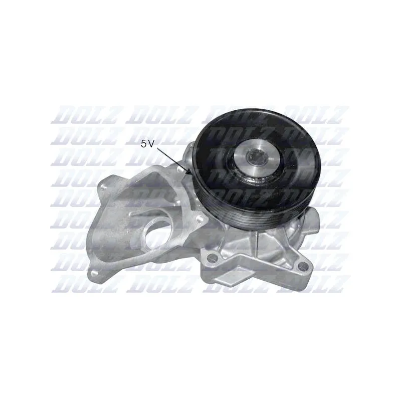 Pompe à eau DOLZ B221
