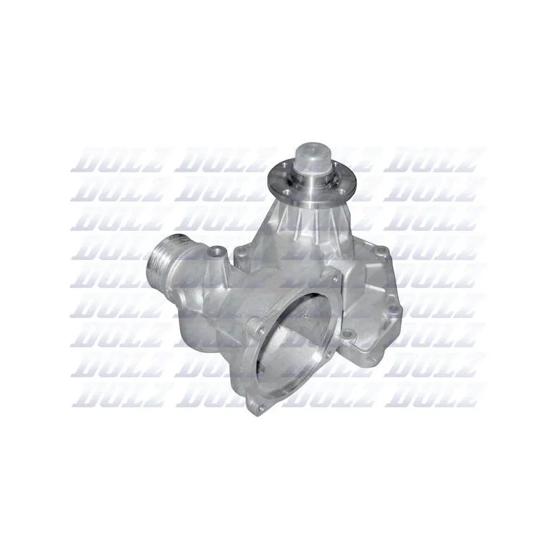Pompe à eau DOLZ B317