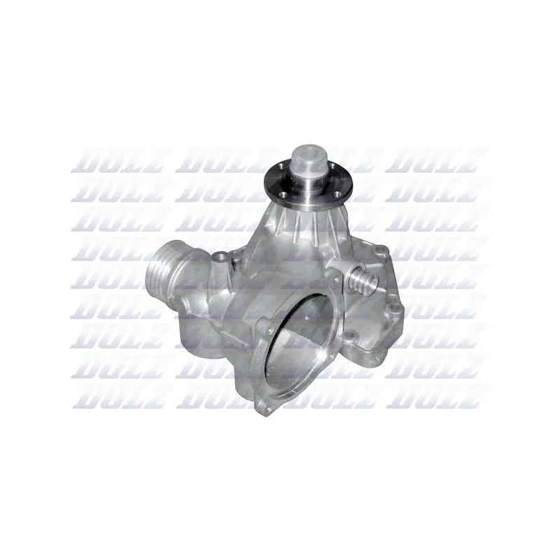 Pompe à eau DOLZ B319