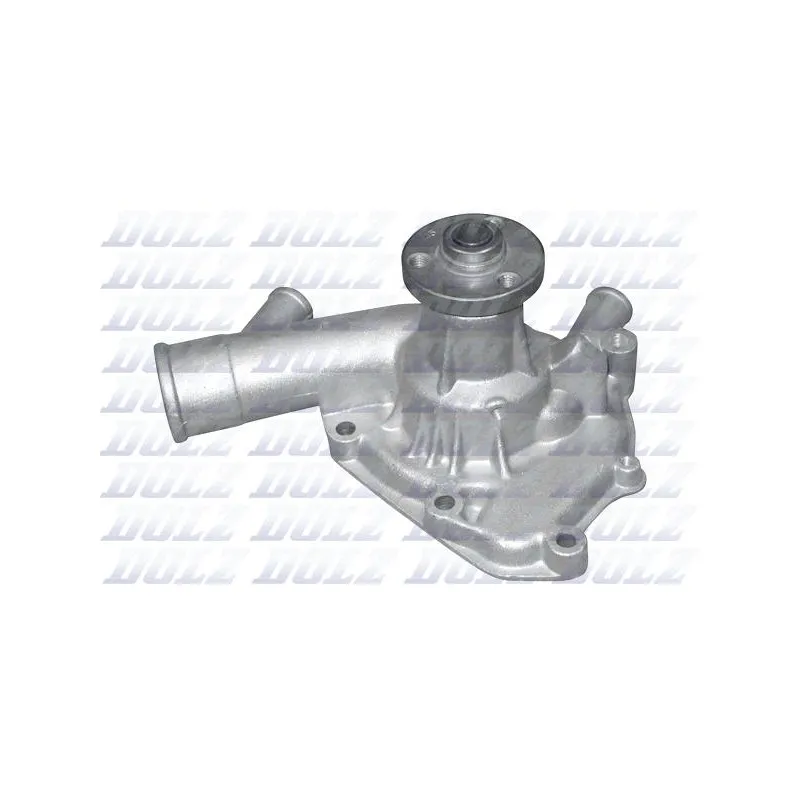Pompe à eau DOLZ C100
