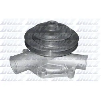 Pompe à eau DOLZ C101