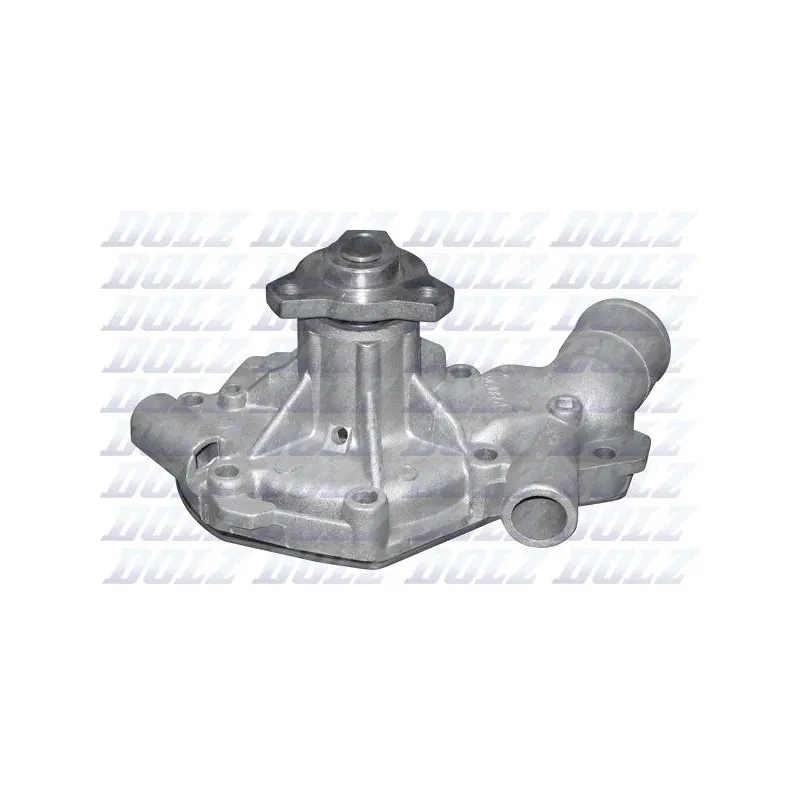 Pompe à eau DOLZ C106