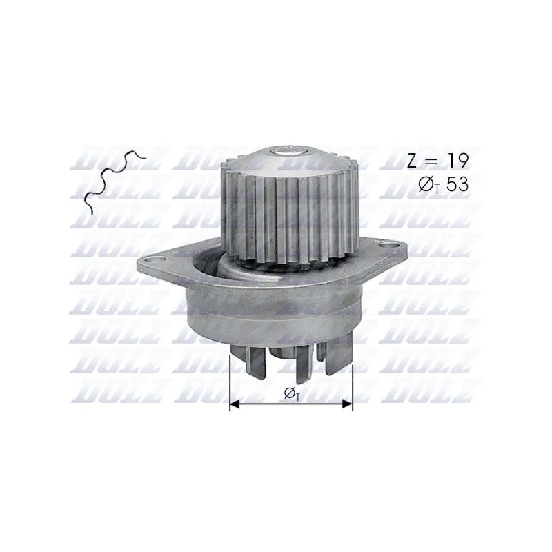 Pompe à eau DOLZ C113