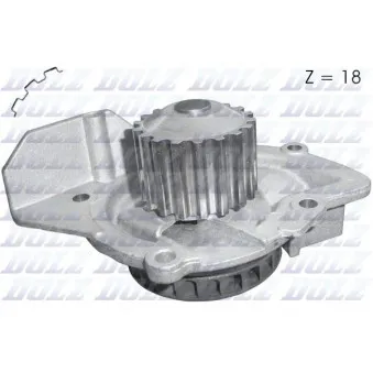 Pompe à eau DOLZ C147