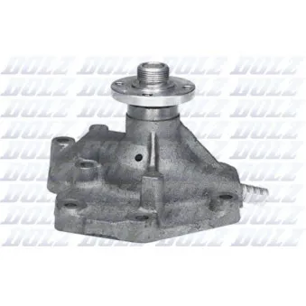 Pompe à eau DOLZ F110