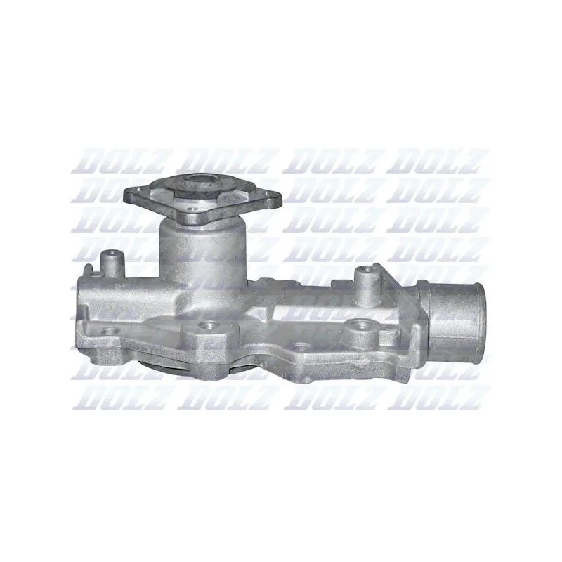 Pompe à eau DOLZ F125