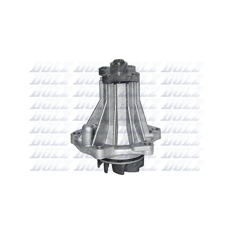 Pompe à eau DOLZ F131