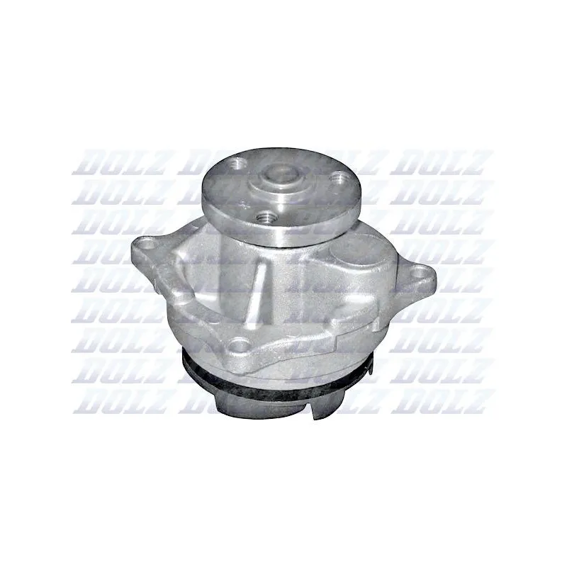 Pompe à eau DOLZ F141