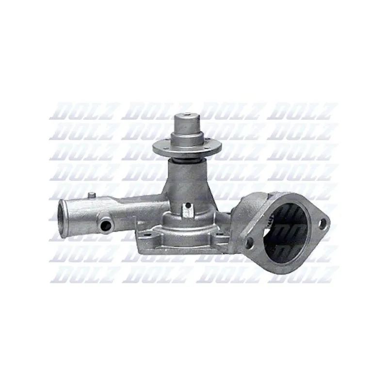Pompe à eau DOLZ F161