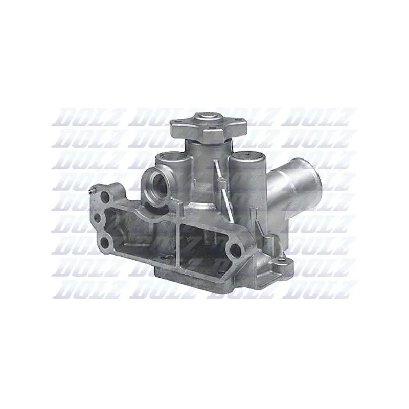 Pompe à eau DOLZ F197