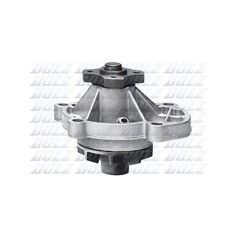 Pompe à eau DOLZ F199