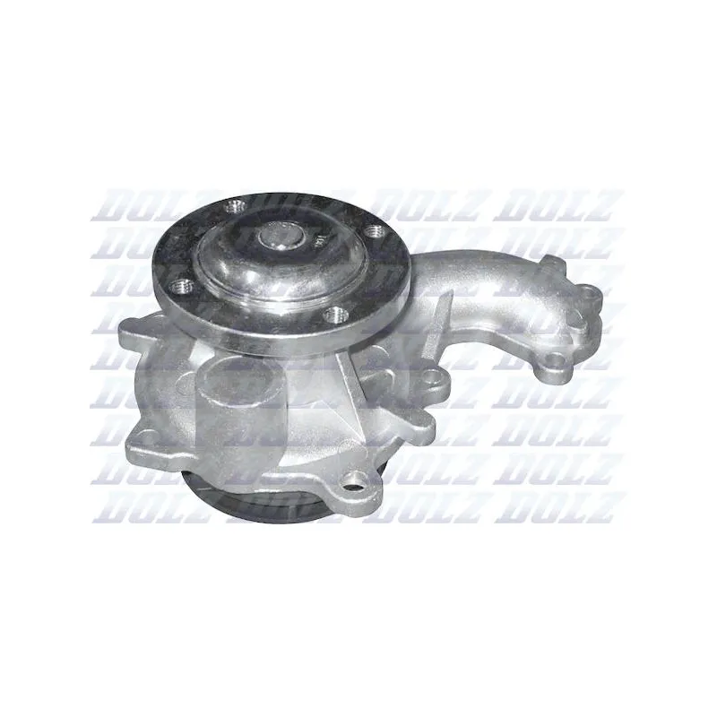 Pompe à eau DOLZ F201