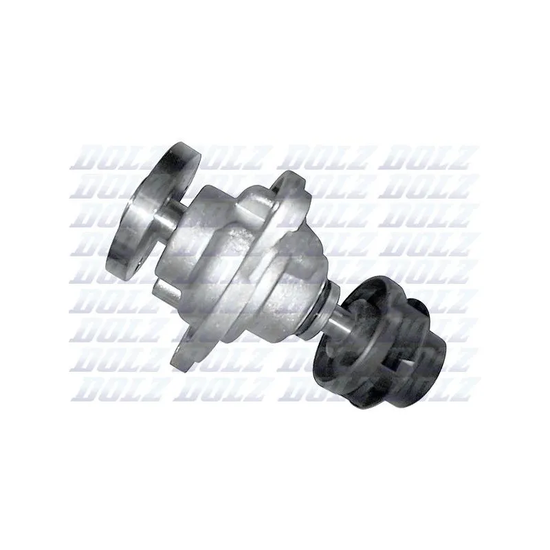 Pompe à eau DOLZ F203