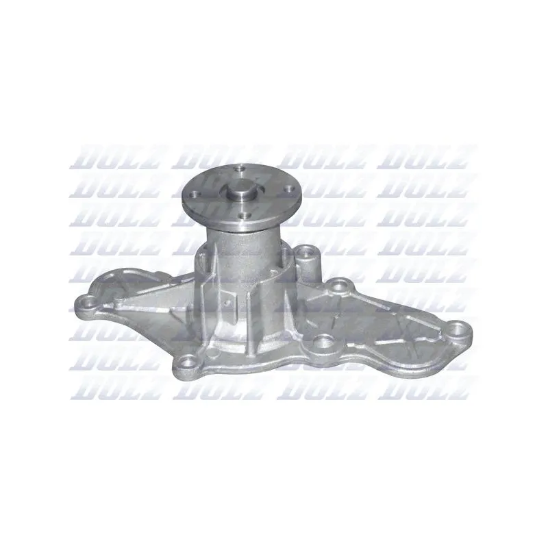 Pompe à eau DOLZ F232