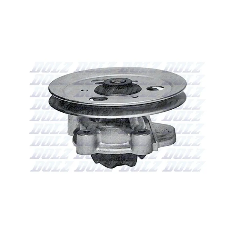 Pompe à eau DOLZ H101