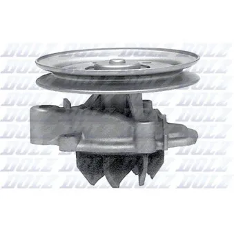 Pompe à eau DOLZ H105