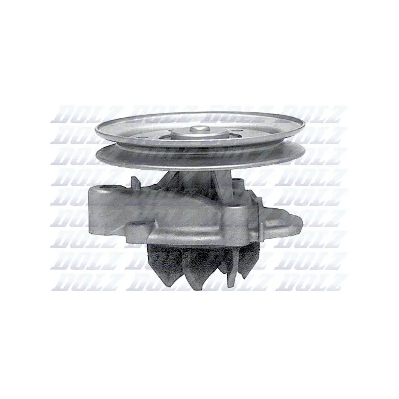 Pompe à eau DOLZ H105