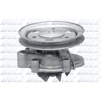 Pompe à eau DOLZ H107