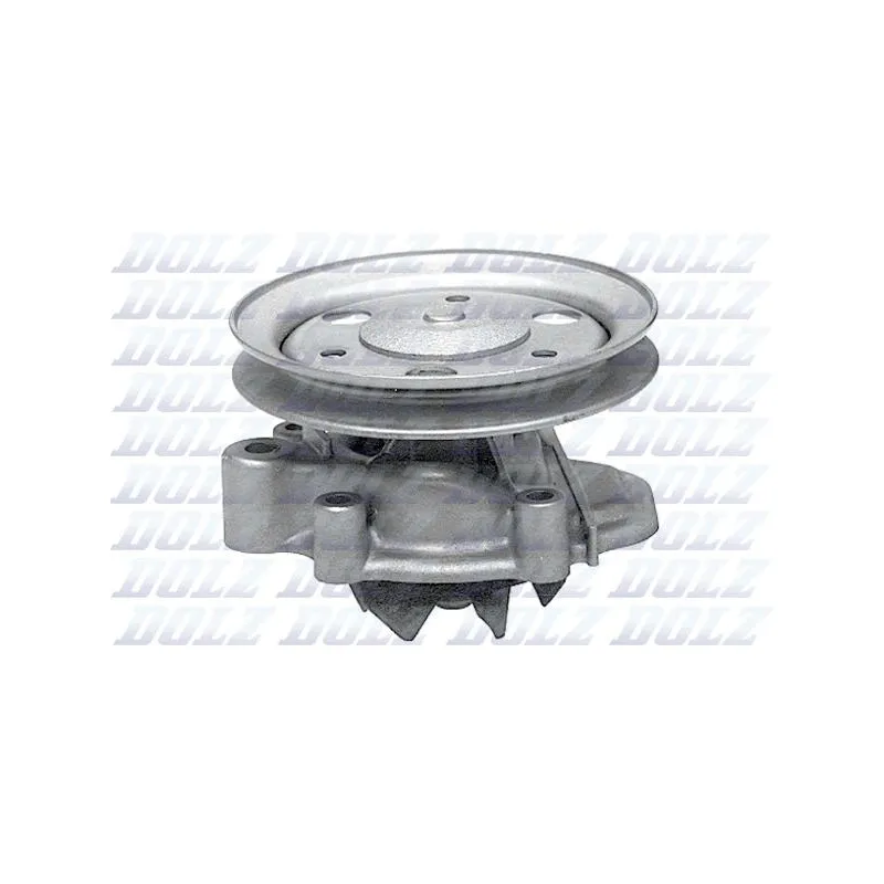 Pompe à eau DOLZ H107