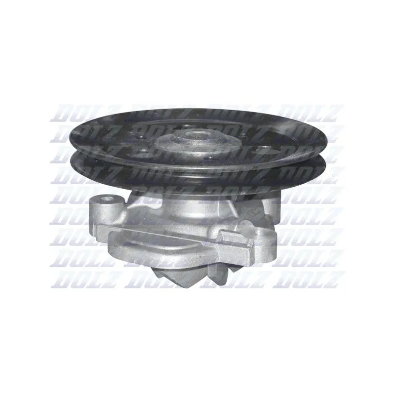 Pompe à eau DOLZ H109
