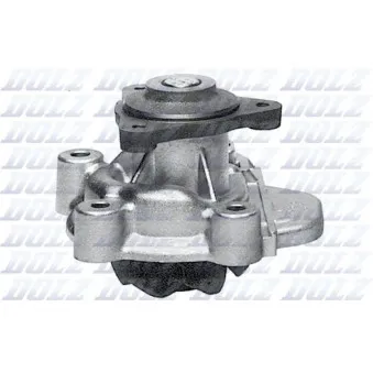 Pompe à eau DOLZ H110