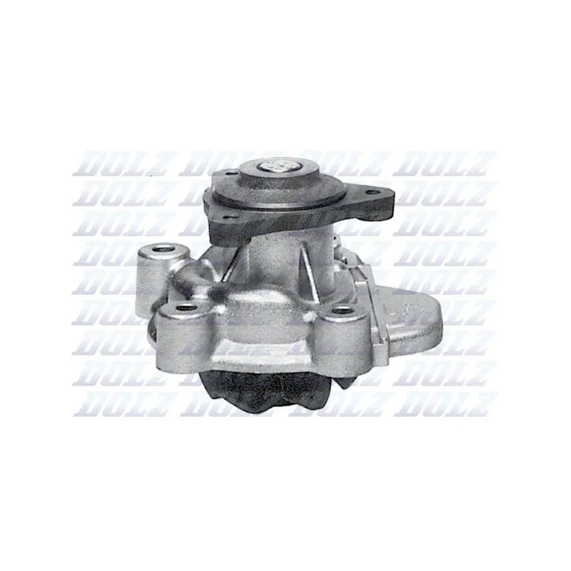 Pompe à eau DOLZ H110