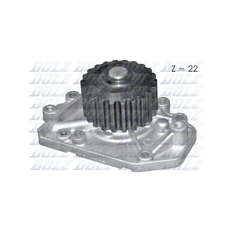 Pompe à eau DOLZ H125